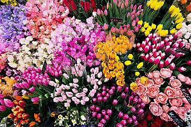 《魂斗罗：加鲁加行动》3月发售 试玩版现已推出